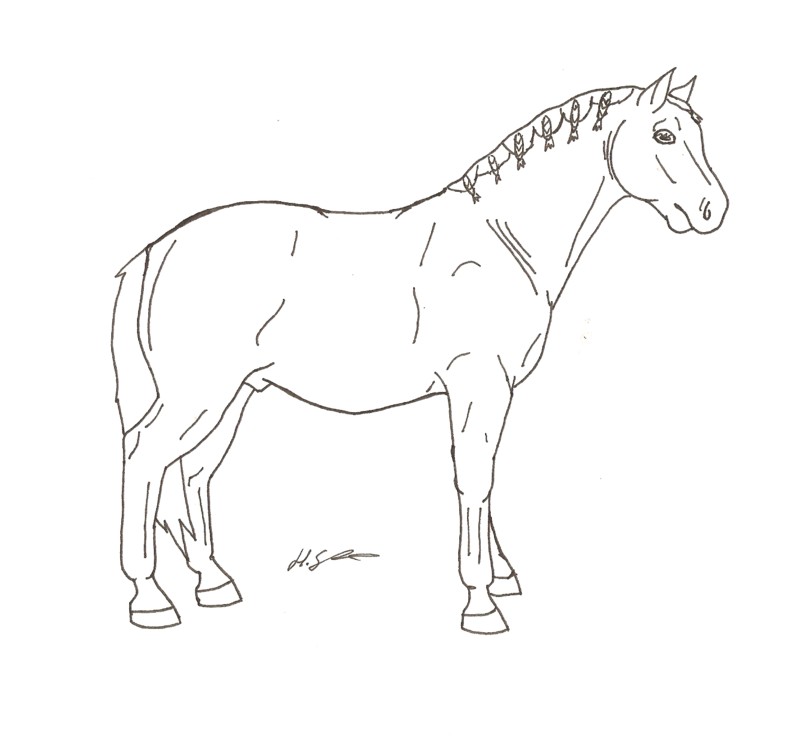 Free Horse Cartoon Drawing, Download Free Horse Cartoon Drawing png