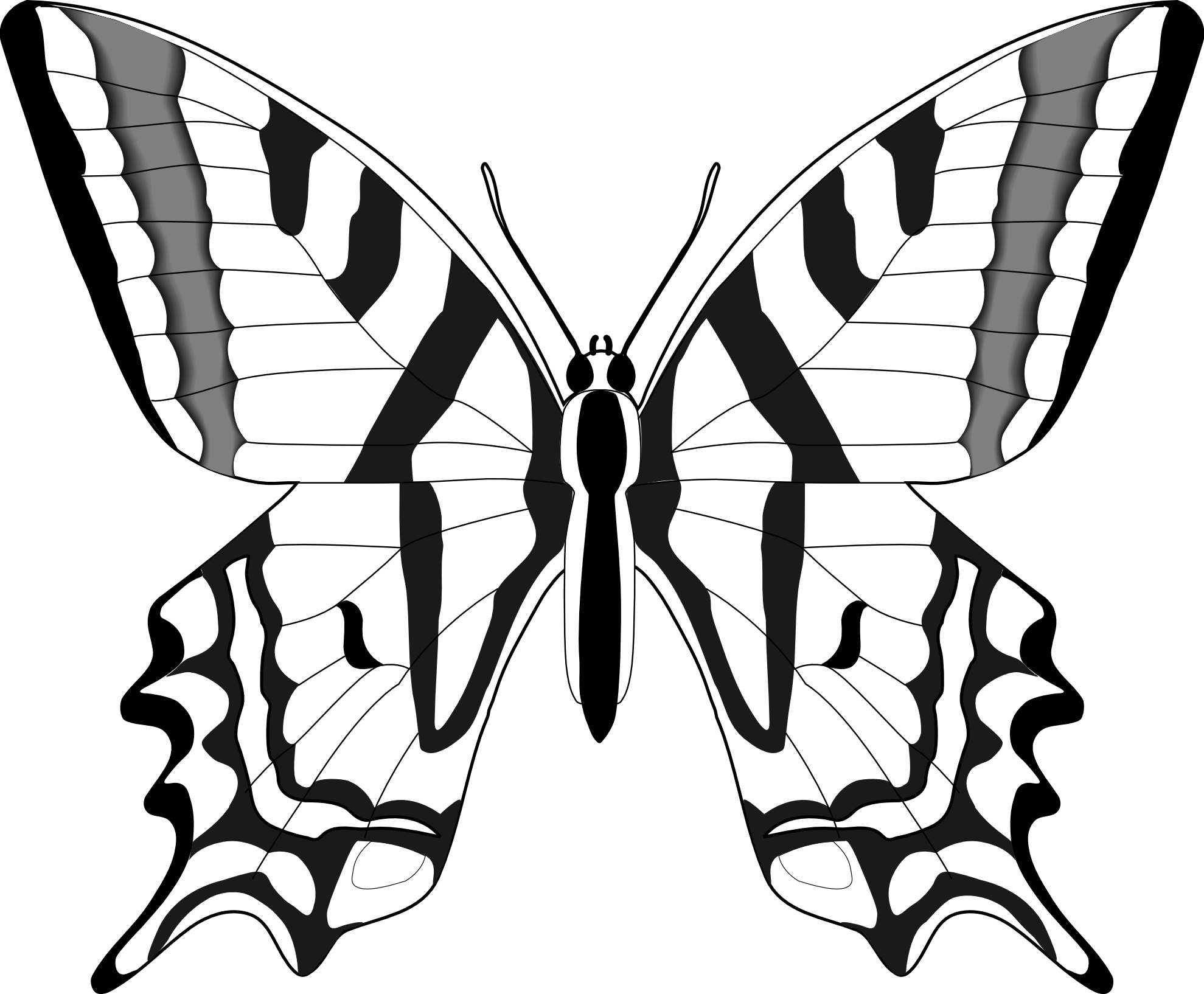 Free Simple Butterfly Black And White, Download Free Simple Butterfly