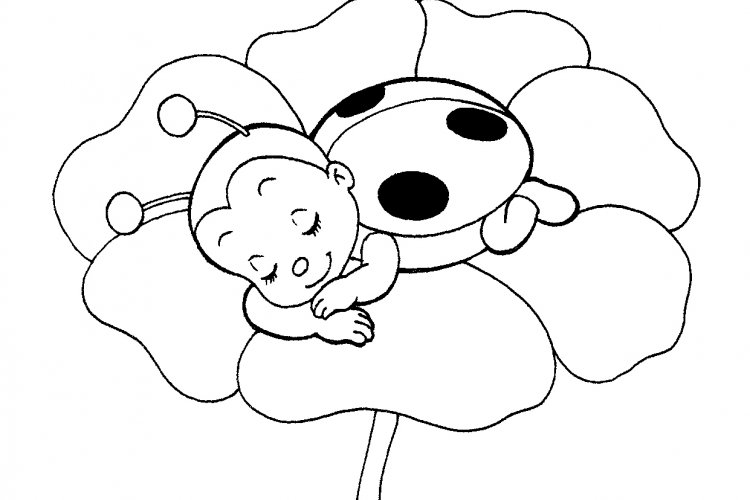 Previous Page, ladybug coloring pages - Drawing Kids