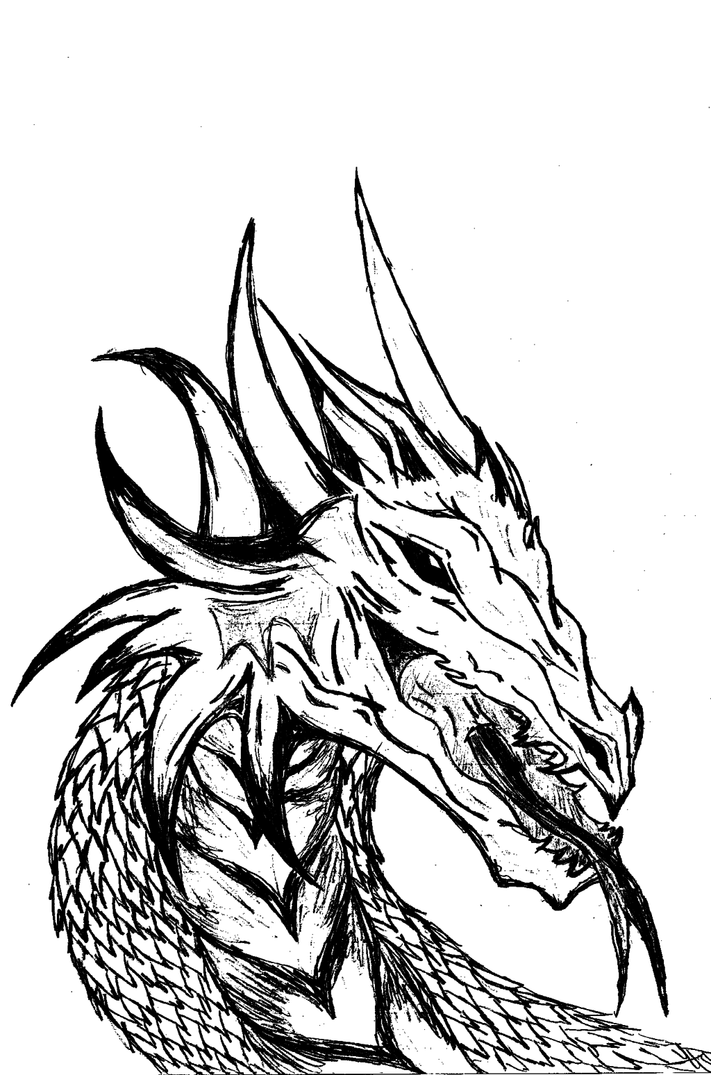 Dragon Head (black and white) by Bellep53 on Clipart library