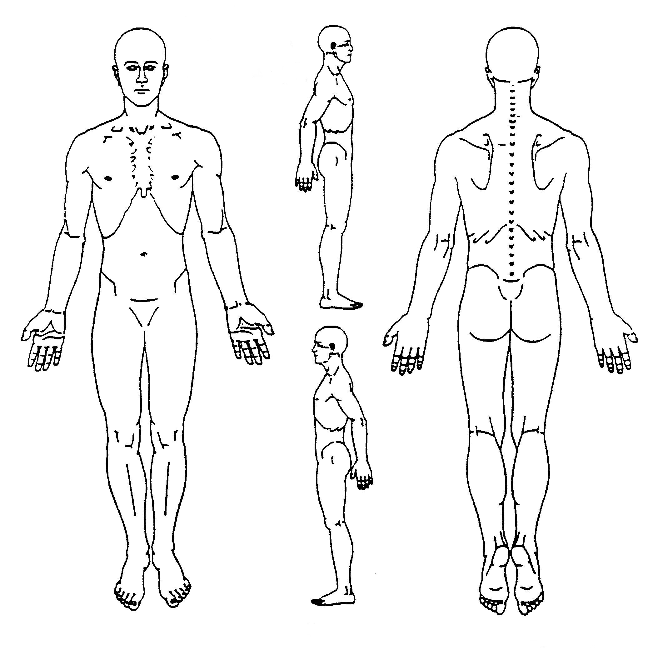 Body Chart Physiotherapy Clip Art Library