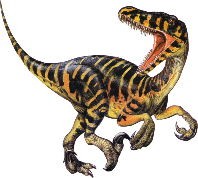 Dinosaurs (with images) ? Kishan ? Storify