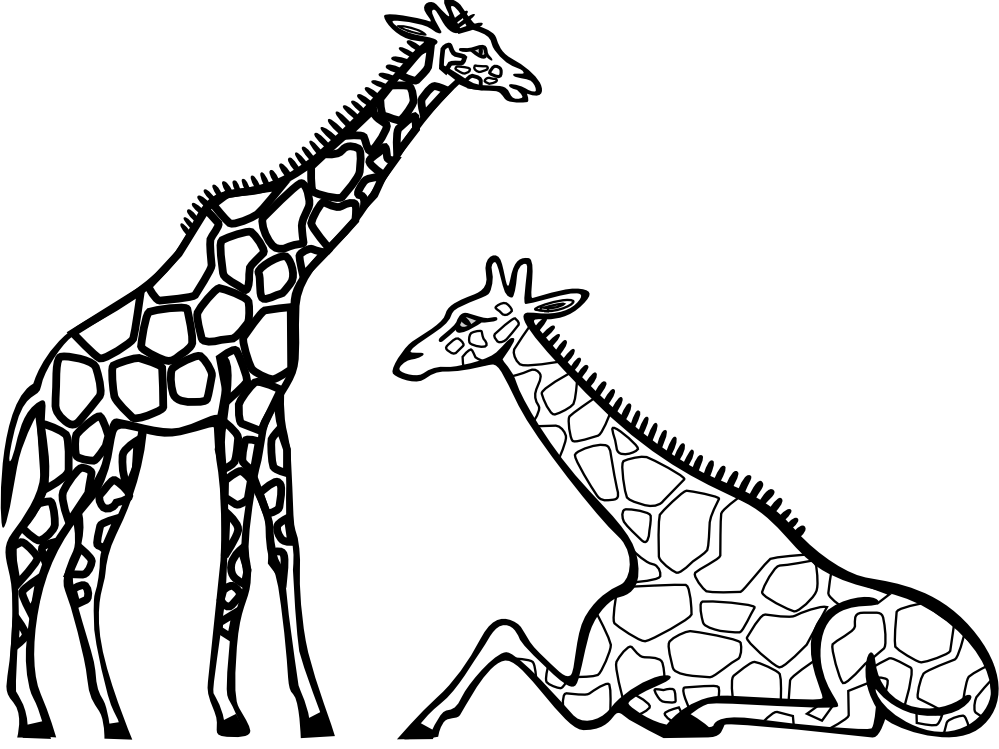 giraffes black white line art Coloring Book Colouring Sheet 