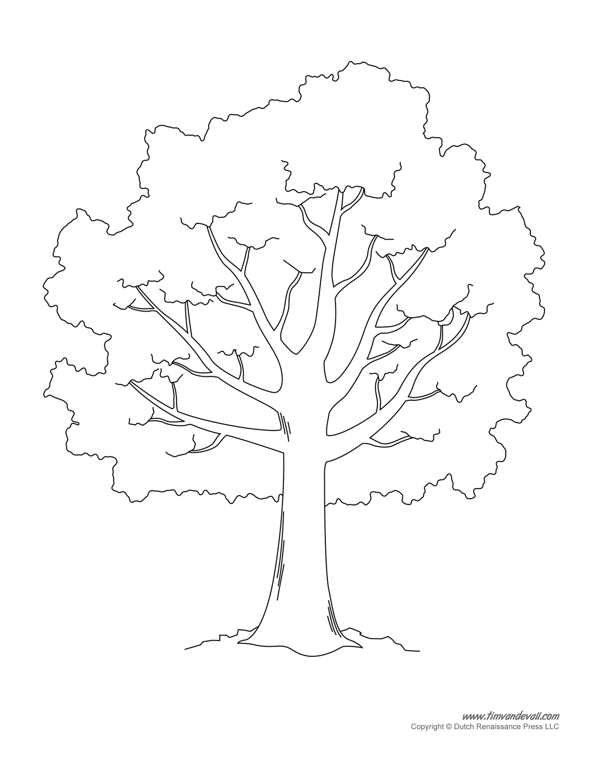 Tree Trunk And Branches Template images Clip Art Library