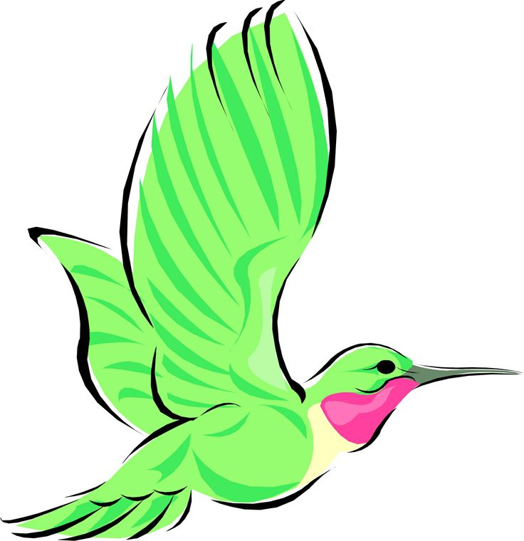 Free Humming Bird Cartoon, Download Free Humming Bird Cartoon png