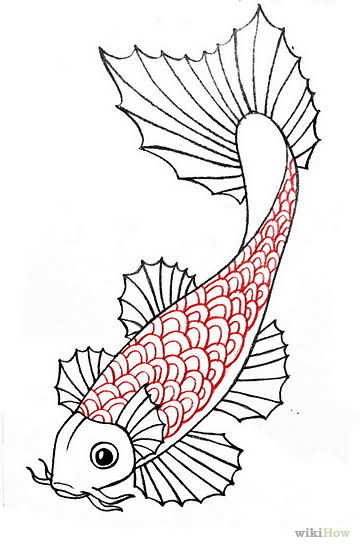How to Draw a Koi Fish: 7 Steps (with Pictures) - wikiHow