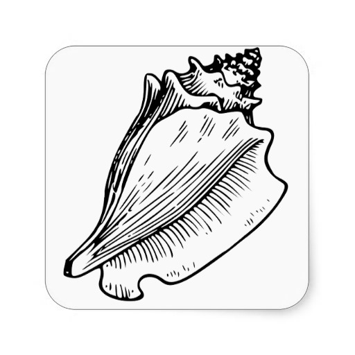 conch shell drawing lord of the flies - Clip Art Library