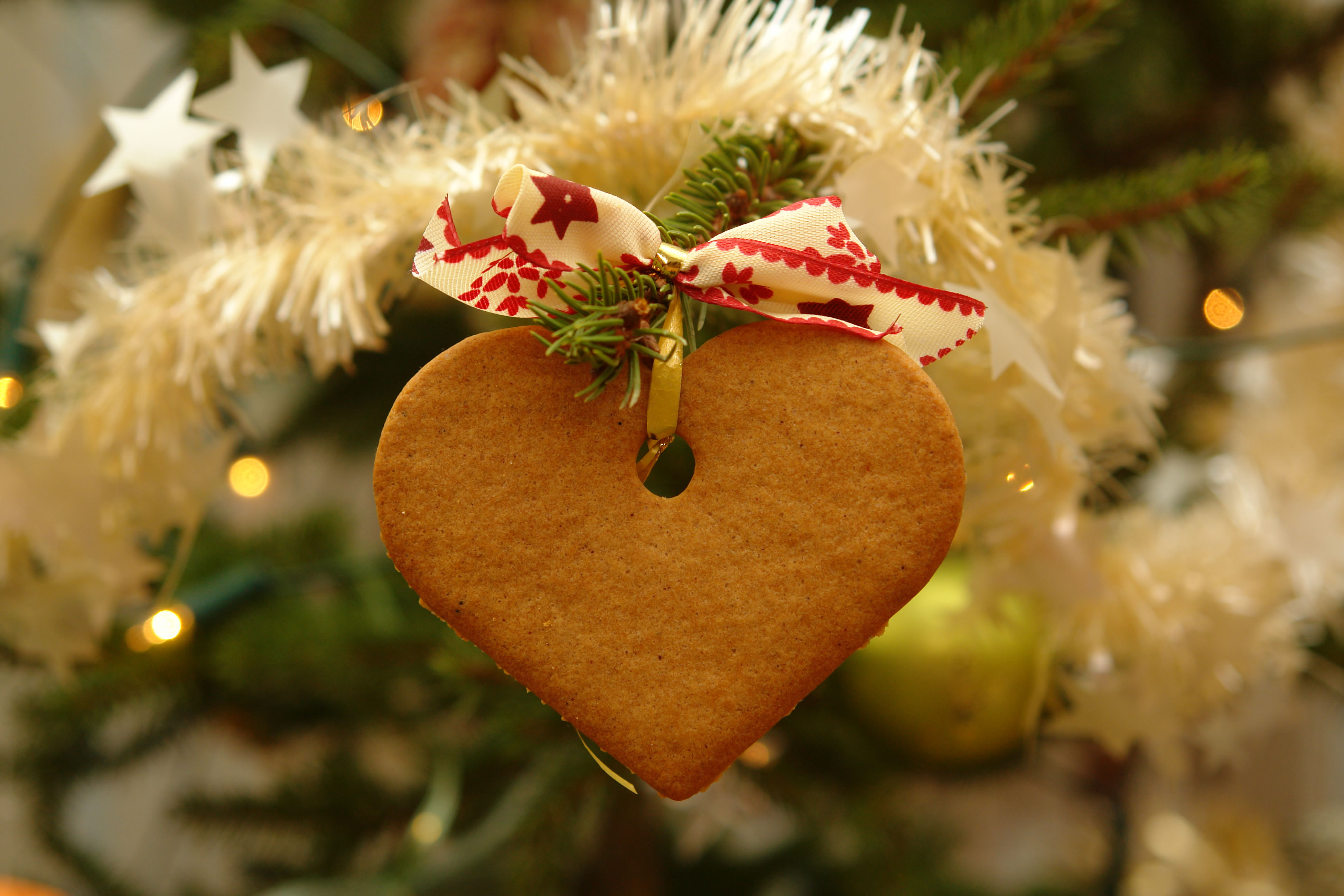 10 Kid  Pet-Friendly Edible Christmas Tree Ornaments 