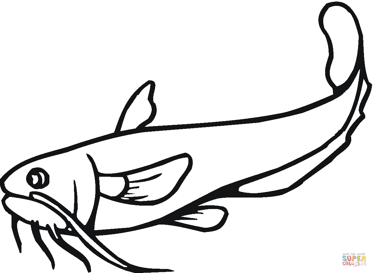Catfish 21 Coloring page | Free Printable Coloring Pages