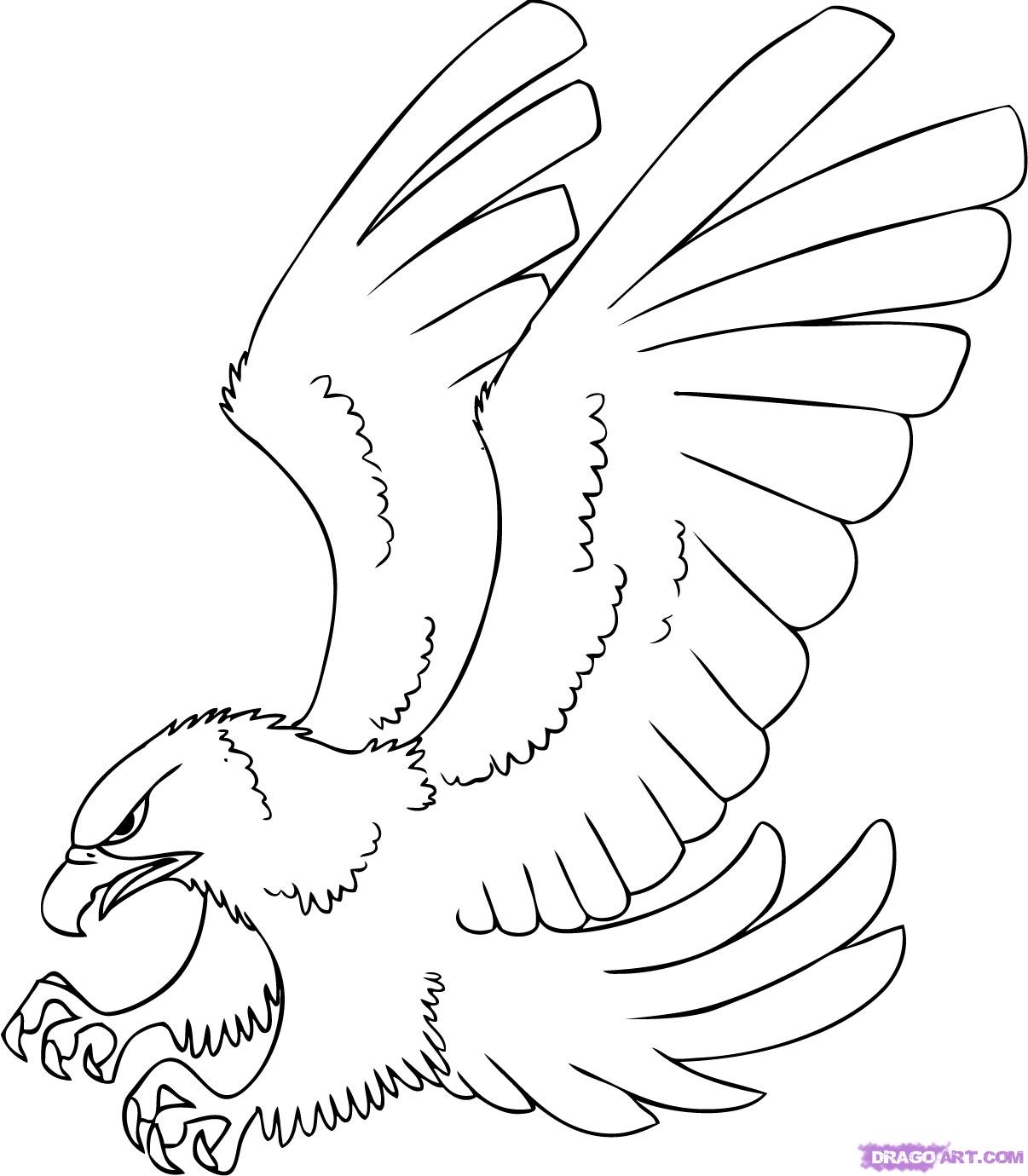 How to Draw a Cartoon Hawk, Step by Step, Cartoon Animals, Animals 