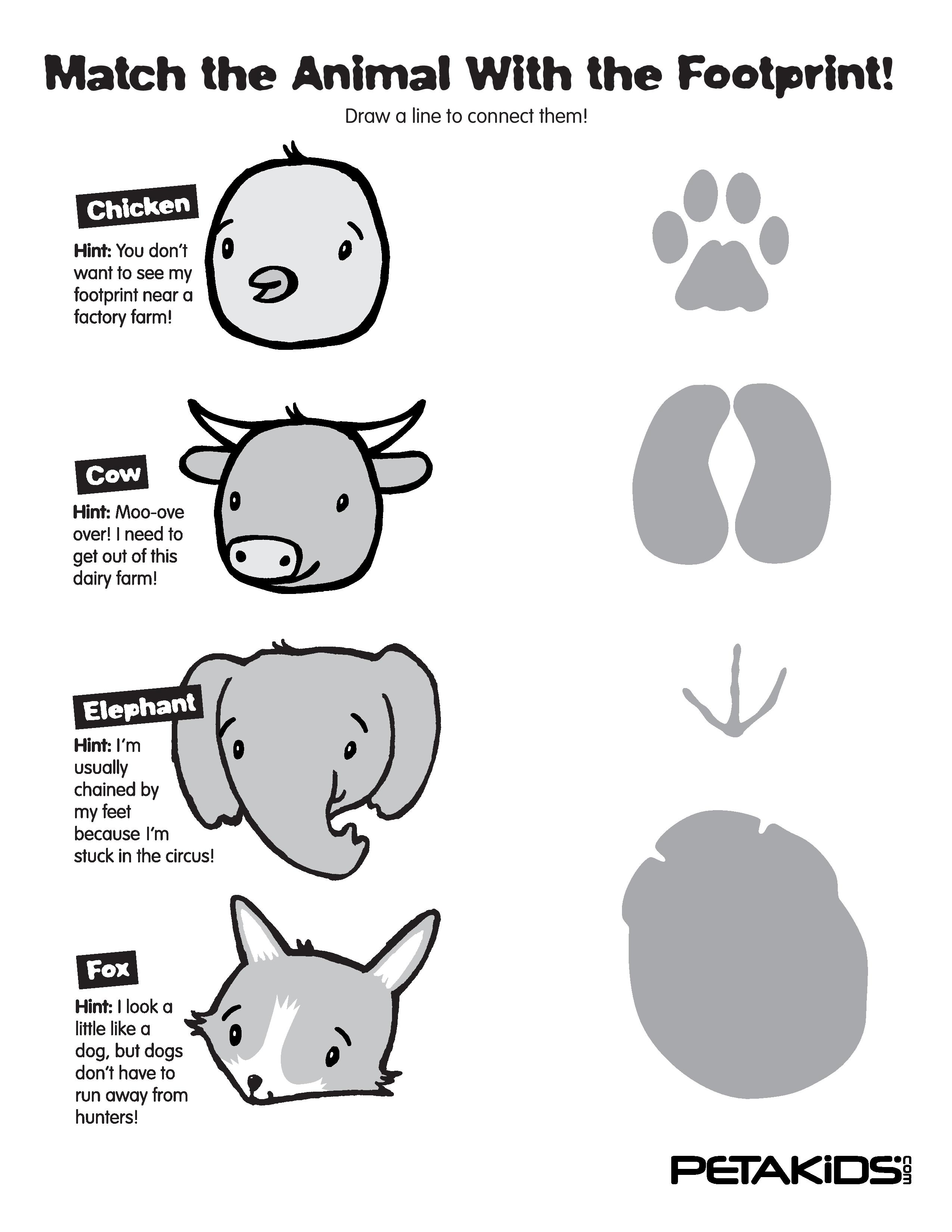 Free Animal Footprints, Download Free Animal Footprints png images