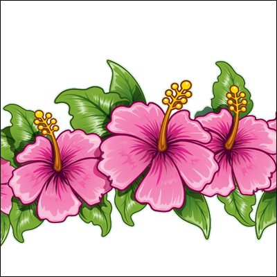 Tropical Flower Hawaiian Daisy Border Of Flowers G Clipart - Free 