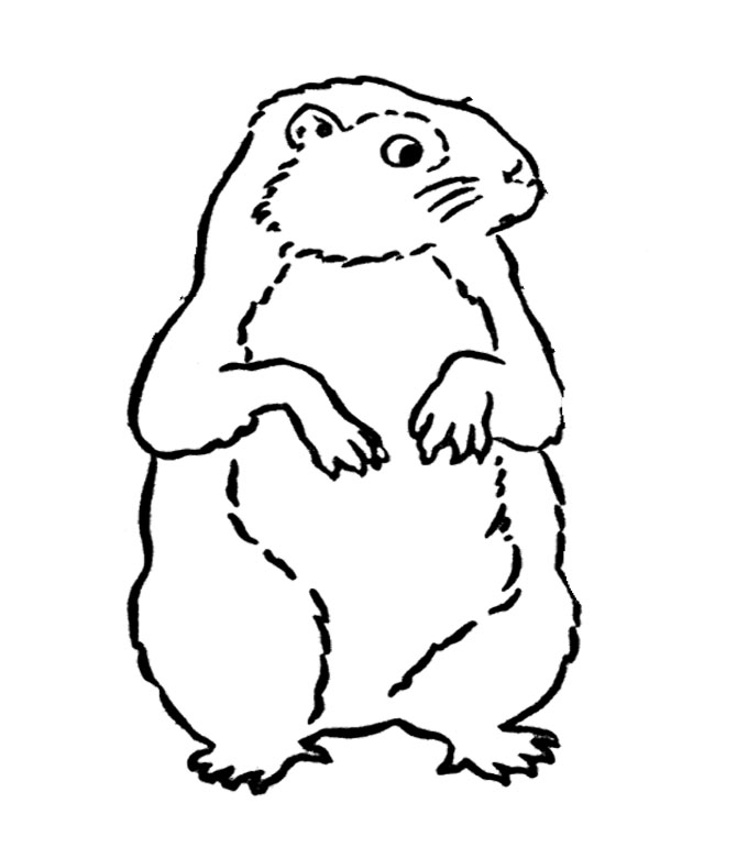 Groundhog Day Cold Coloring For Kids - Event Coloring Pages 