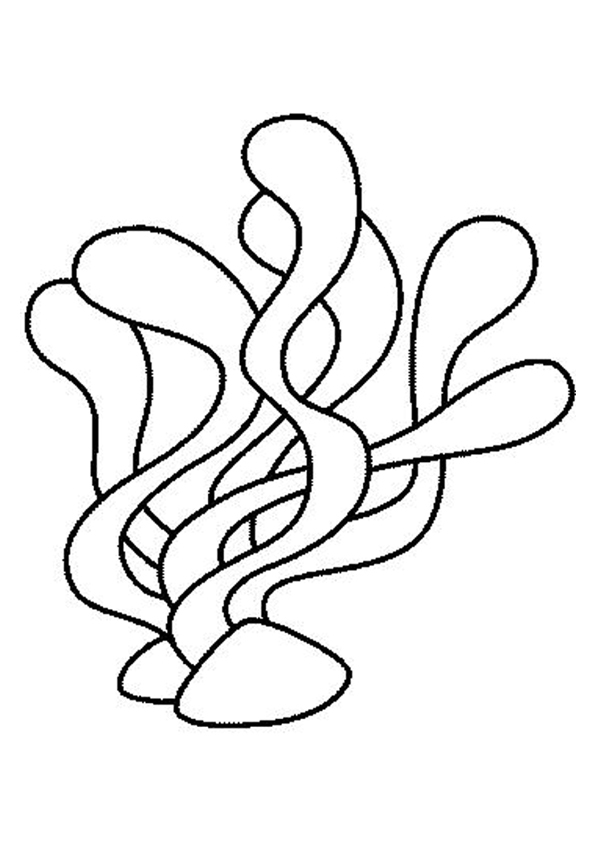SEA ANIMALS coloring pages - Seaweeds