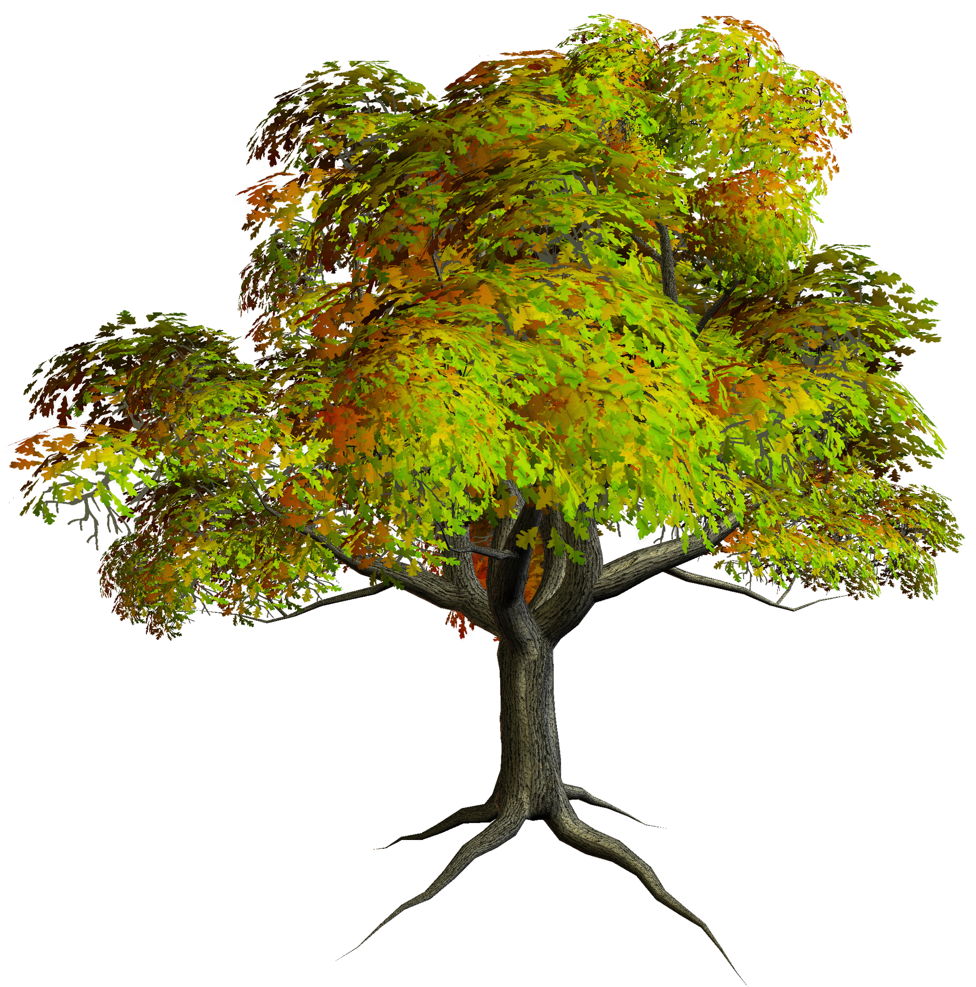 Free Tree Images Free, Download Free Clip Art, Free Clip ...