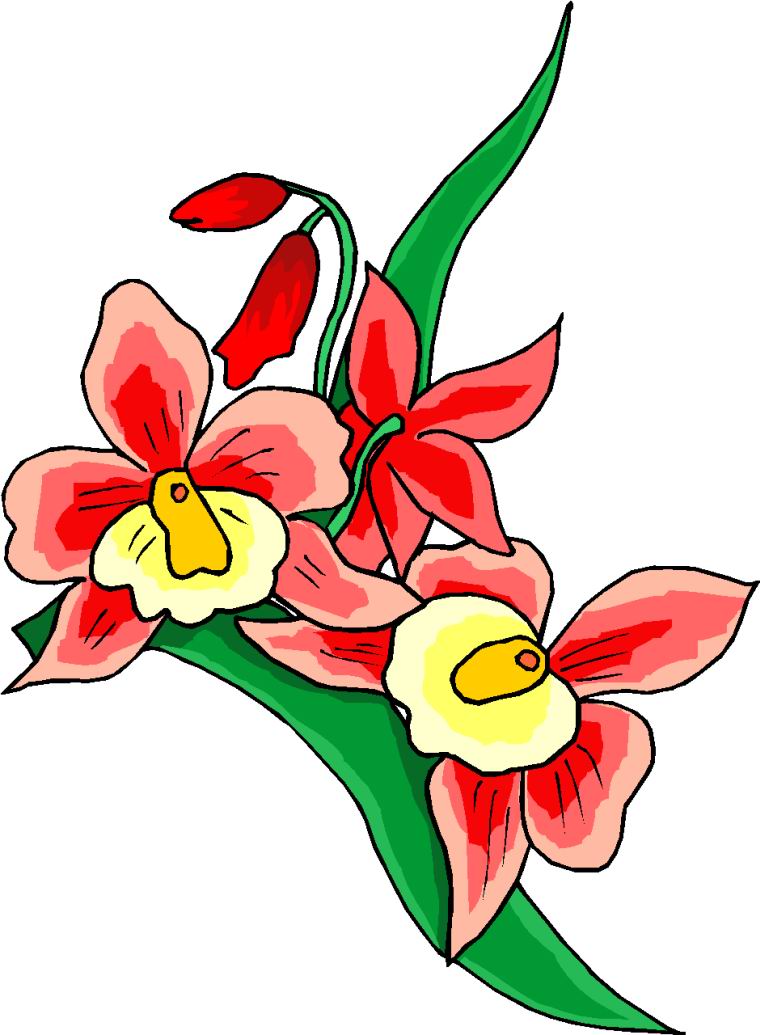 Flowers Clip Art | Clipart library - Free Clipart Images