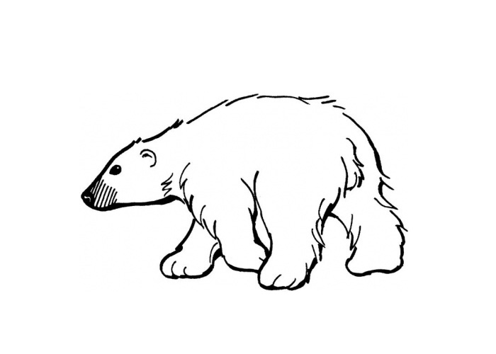 polar bear cartoon Colouring Pages