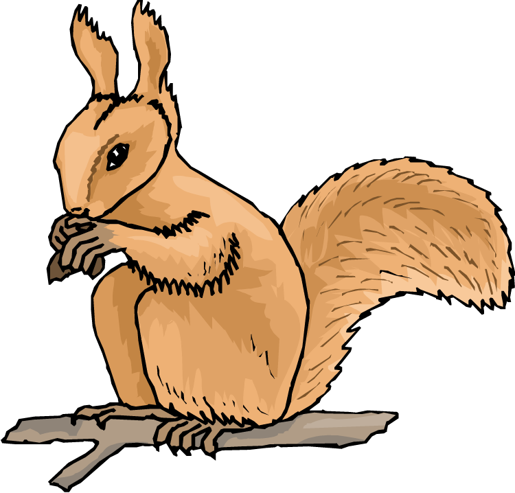 Free Squirrel Clipart