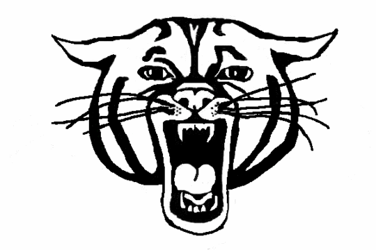 clip art wildcat logo - photo #50
