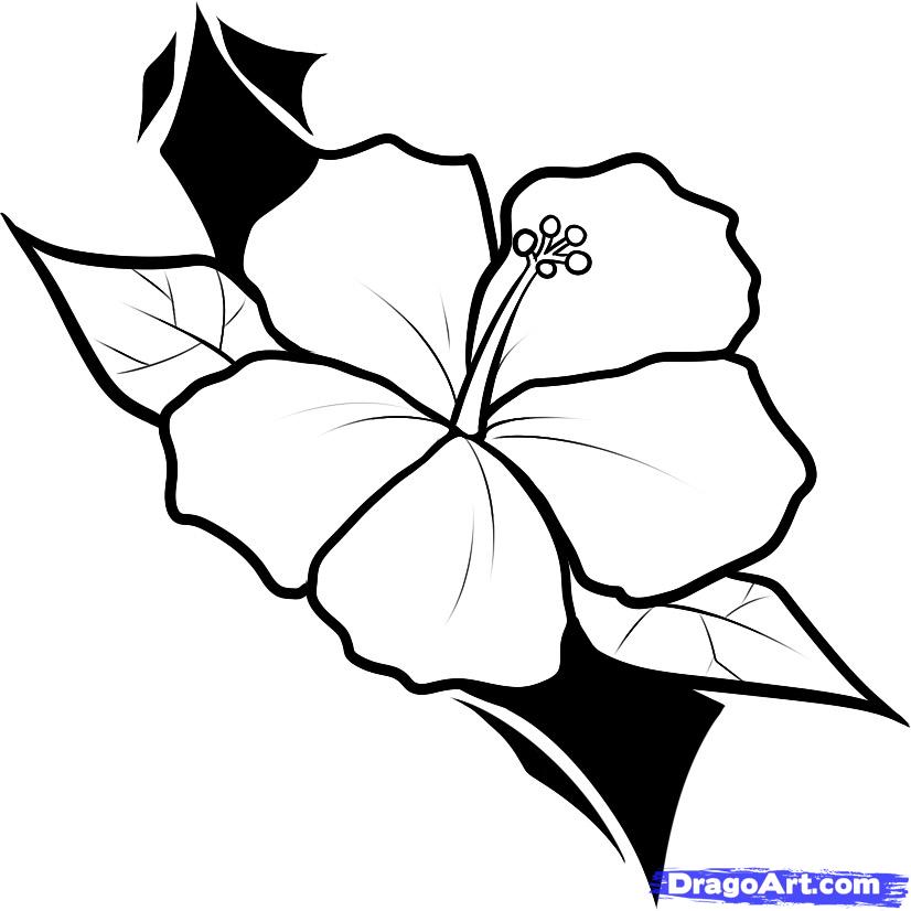 Outline Hawaiian Flower Tattoo Design