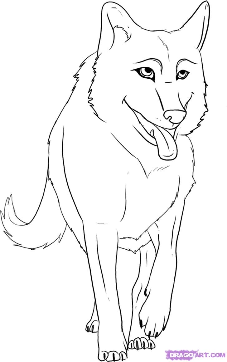 How to Draw a Cartoon Wolf, Step by Step, forest animals, Animals 
