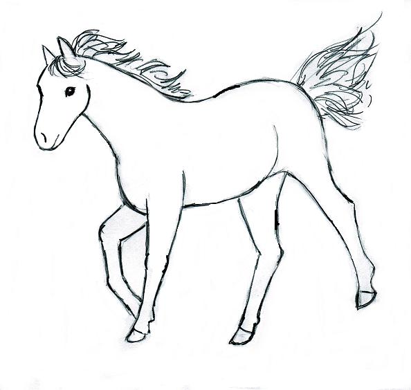 Featured image of post Animal Drawings Easy Horse - Granted there are some related books on drawing animals but these aren&#039;t learn to draw a horse profile portrait using basic shapes like circles, triangles, and trapezoids.