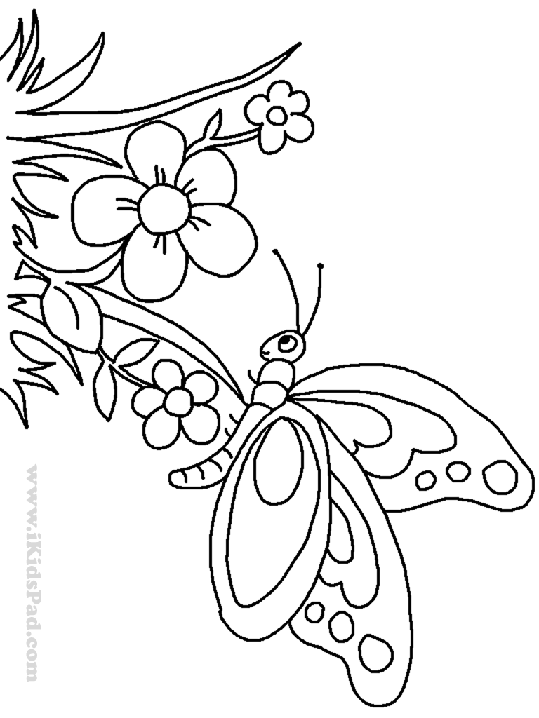 Free Cute Butterfly Line Drawing, Download Free Clip Art ...
