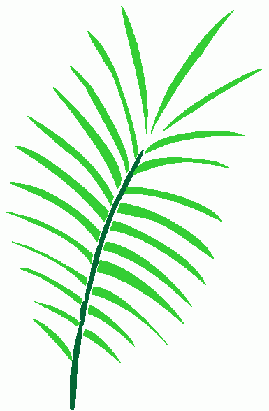 free clipart of palm leaves - photo #27