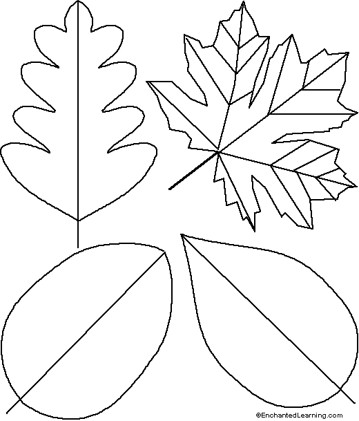 Free Leaf Template, Download Free Leaf Template png images, Free