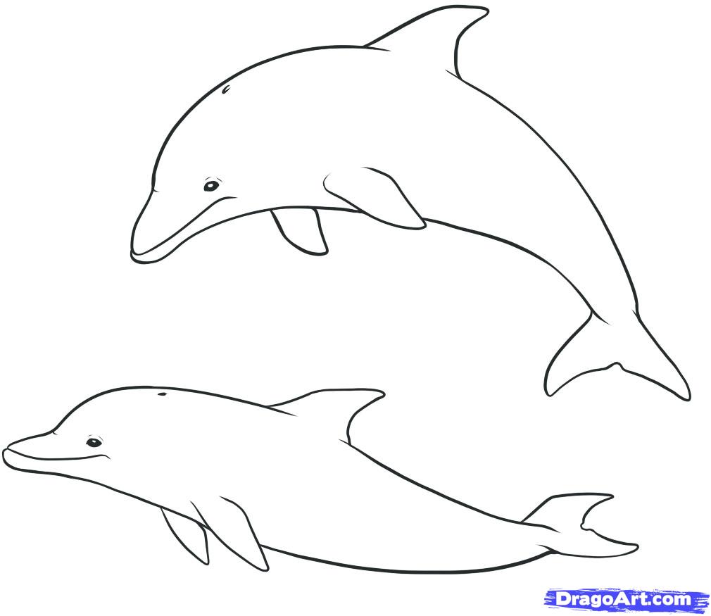 How to Draw Dolphins, Step by Step, Sea animals, Animals, FREE 