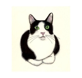 Tuxedo Cat Art Green Eyes 4 X 6 black and by matouenpeluche