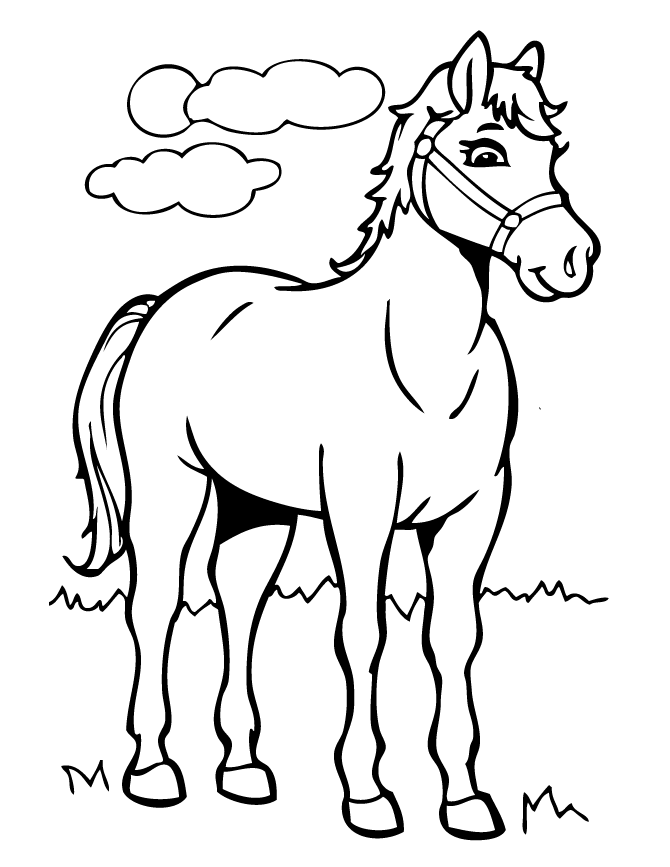 Picture Of Cartoon Horse