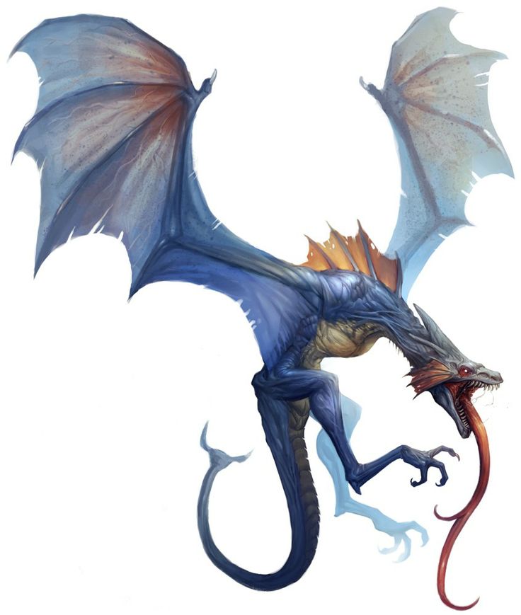 Images of dragons