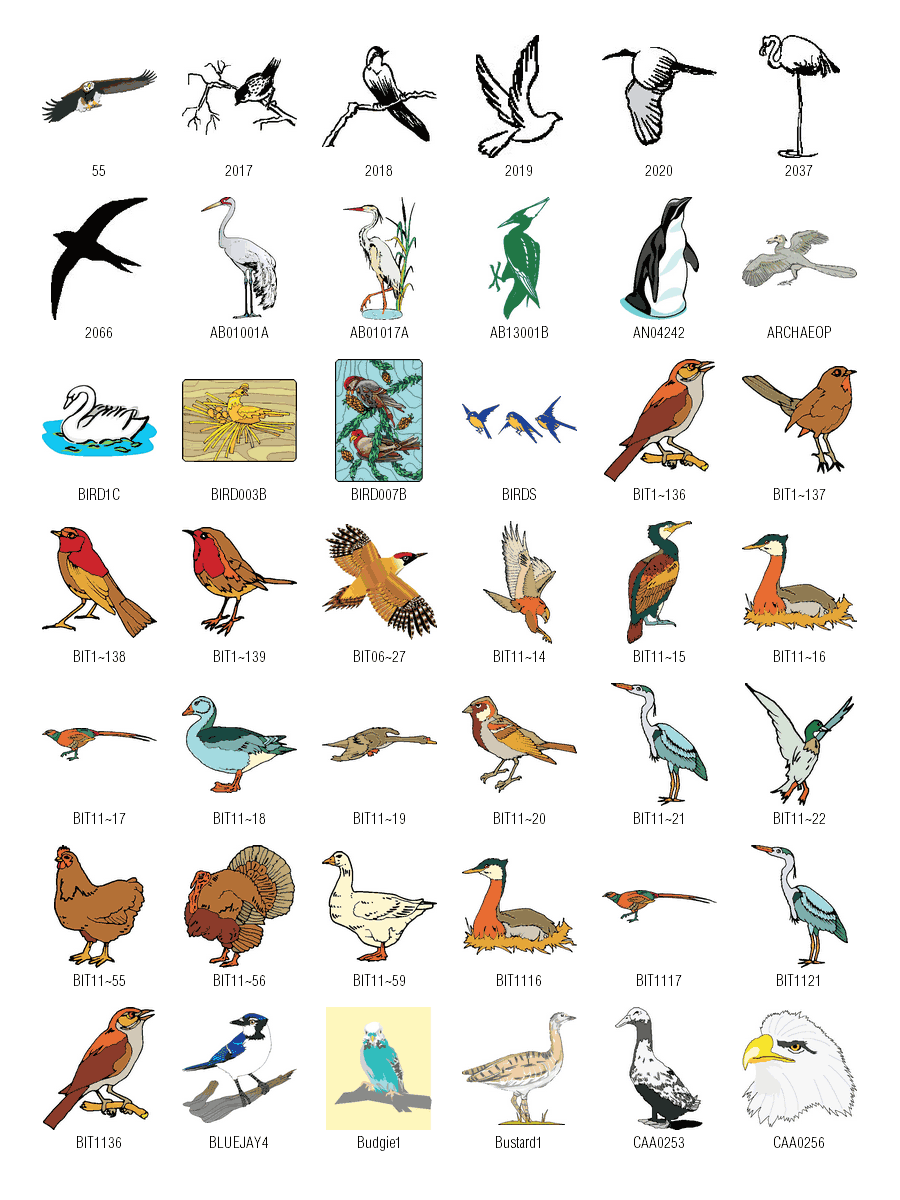 free vector clip art birds - photo #20