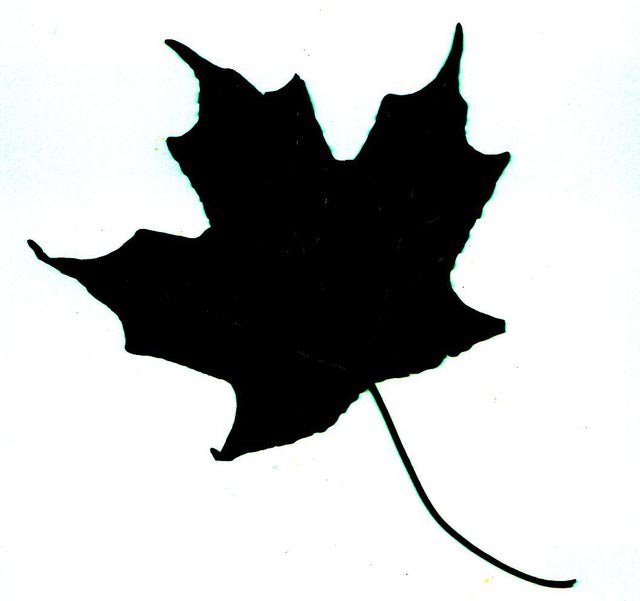clipart leaf silhouette - photo #34