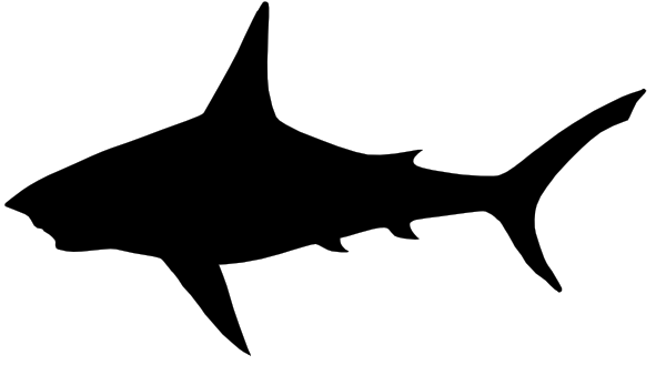 Pix For  Shark Mouth Clipart Black And White