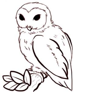 How to Draw Owls, Step by Step, Birds, Animals, FREE Online 