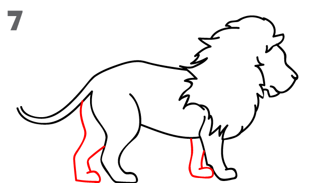 How To Draw a Lion - Step-by-Step