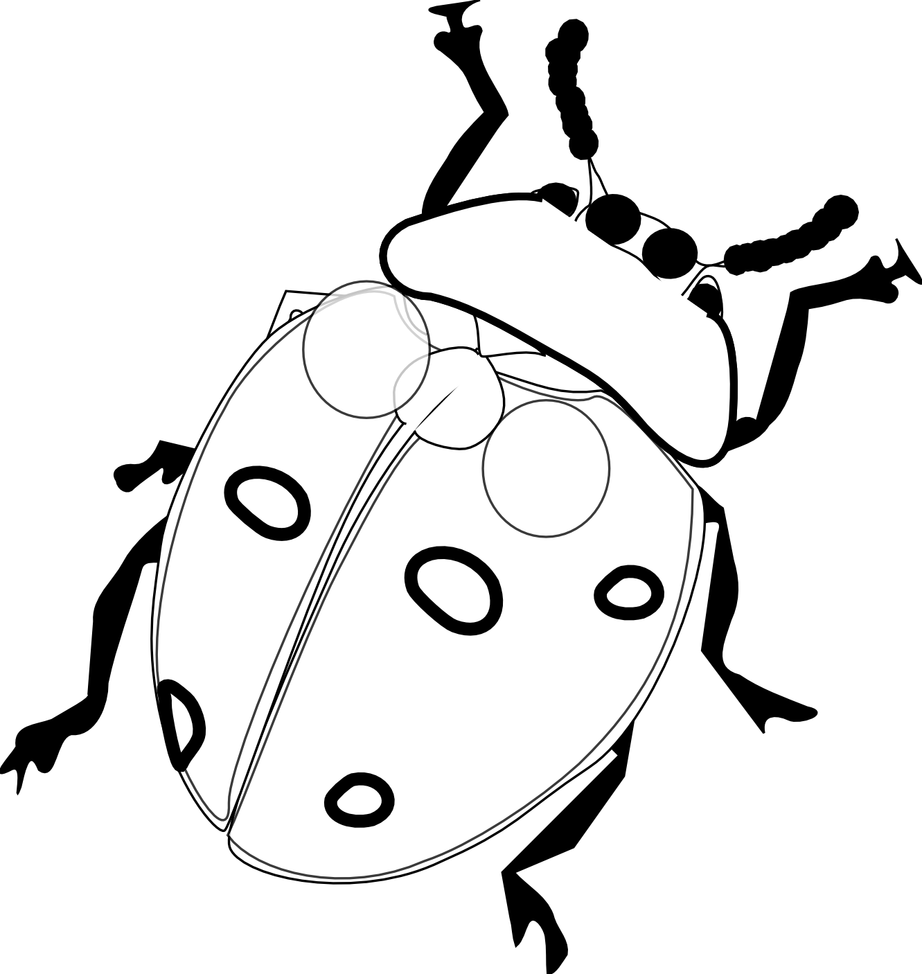 Ladybug Drawing Black And White | Clipart library - Free Clipart Images
