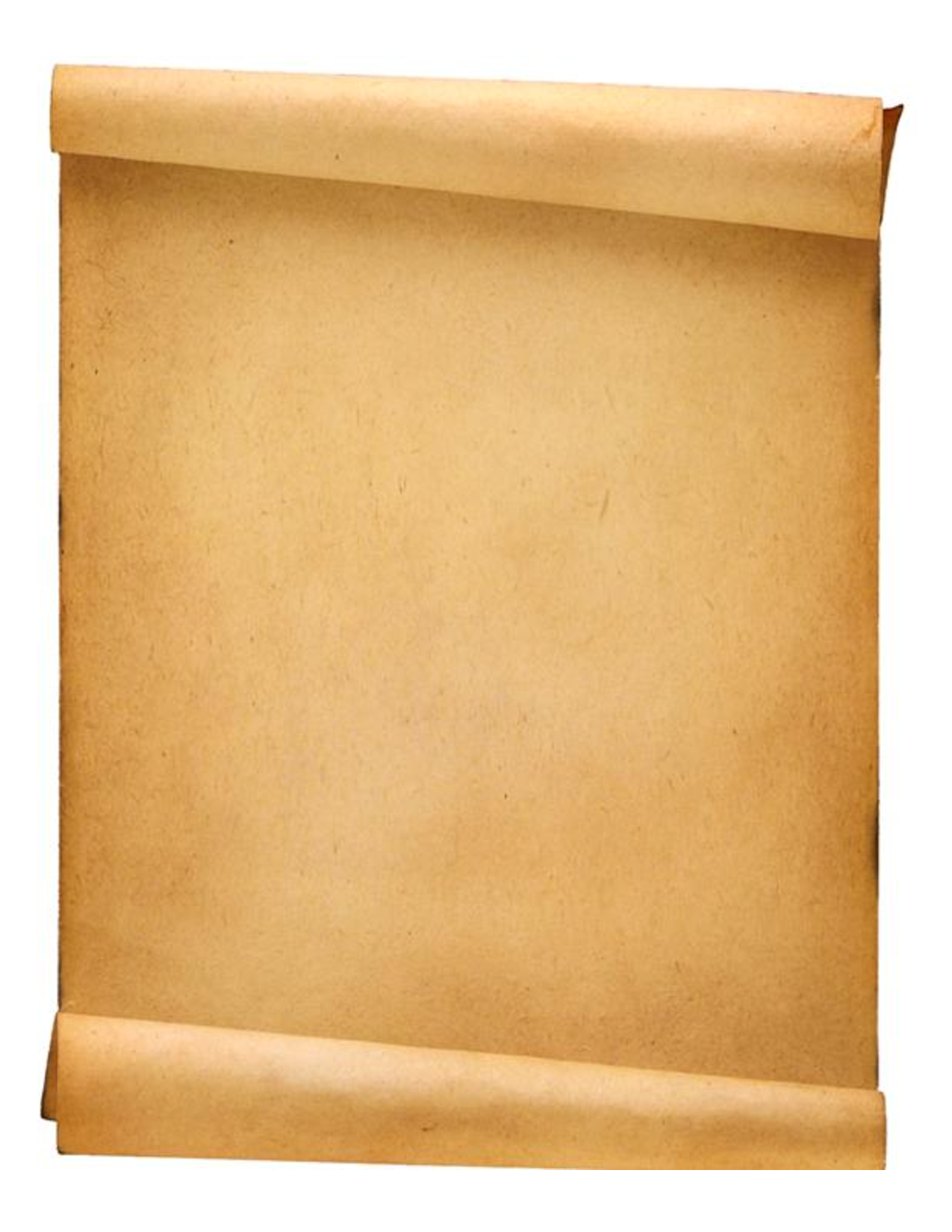 blank scroll clipart