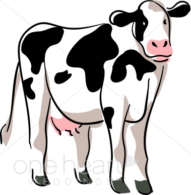Stylized Cow Drawing | Country Wedding Clipart