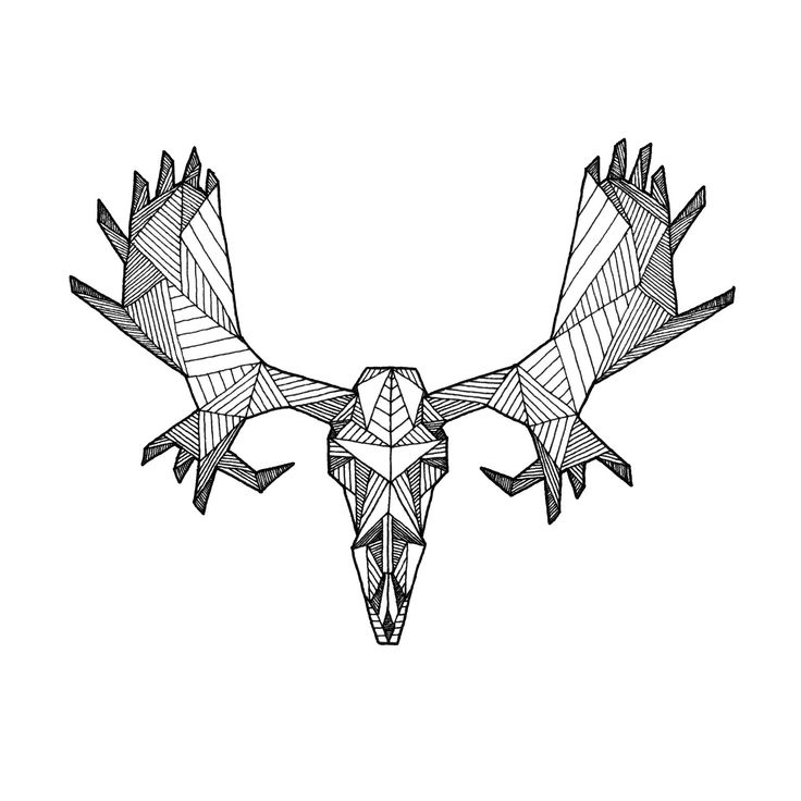 Detailed Geometric Moose Skull Drawing - (Digital Art Print from Orig?