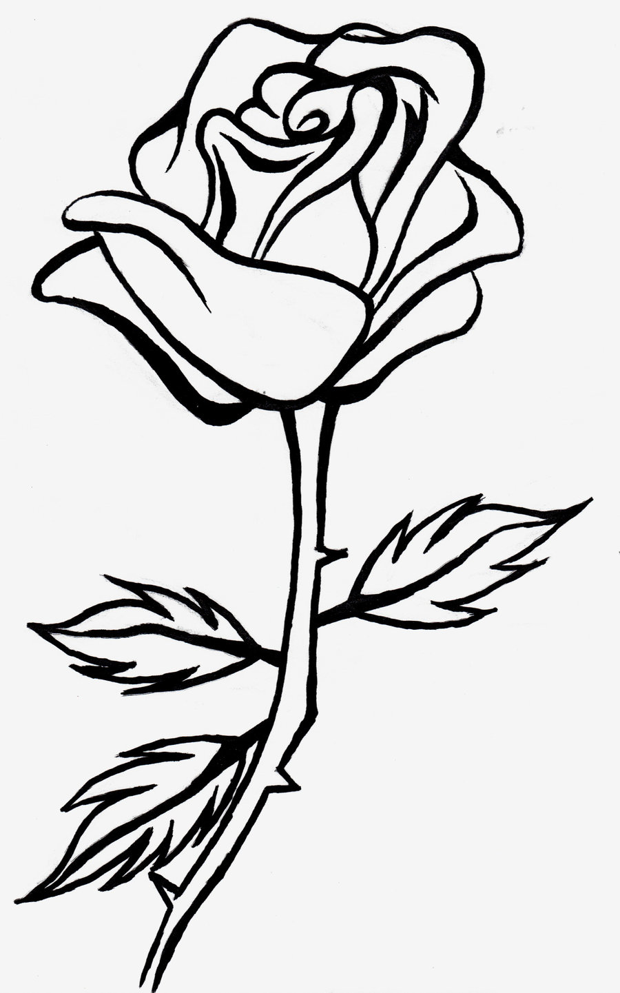 Line Drawing Rose 