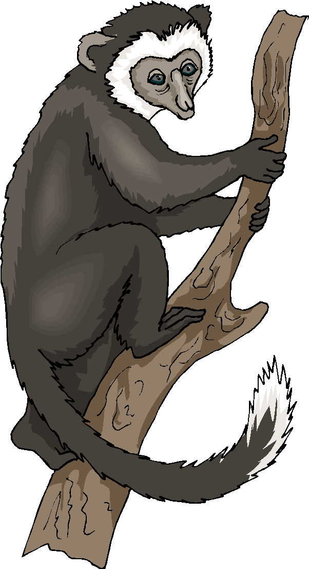 All Cliparts: Monkeys Clipart Gallery3