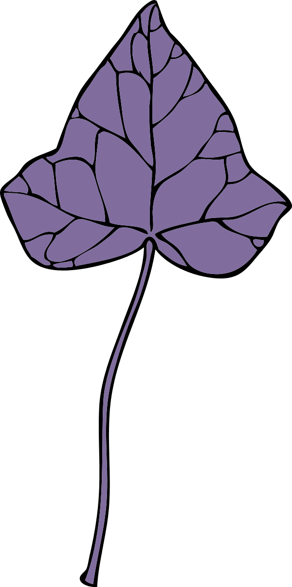 large-ivy-leaf-7-0-7328