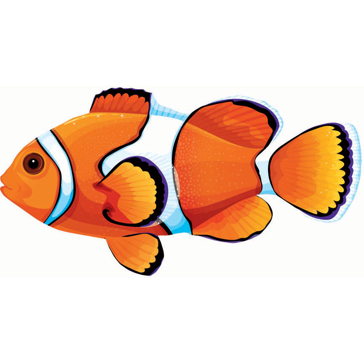Free Yellow Clownfish Download Free Yellow Clownfish png images Free