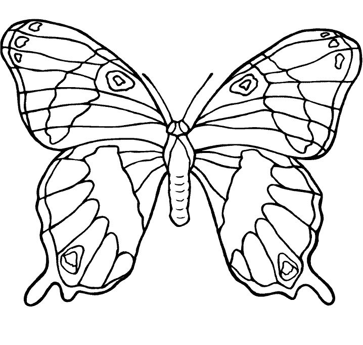 Beautiful Butterfly Coloring Pages - Butterflies Coloring Pages 