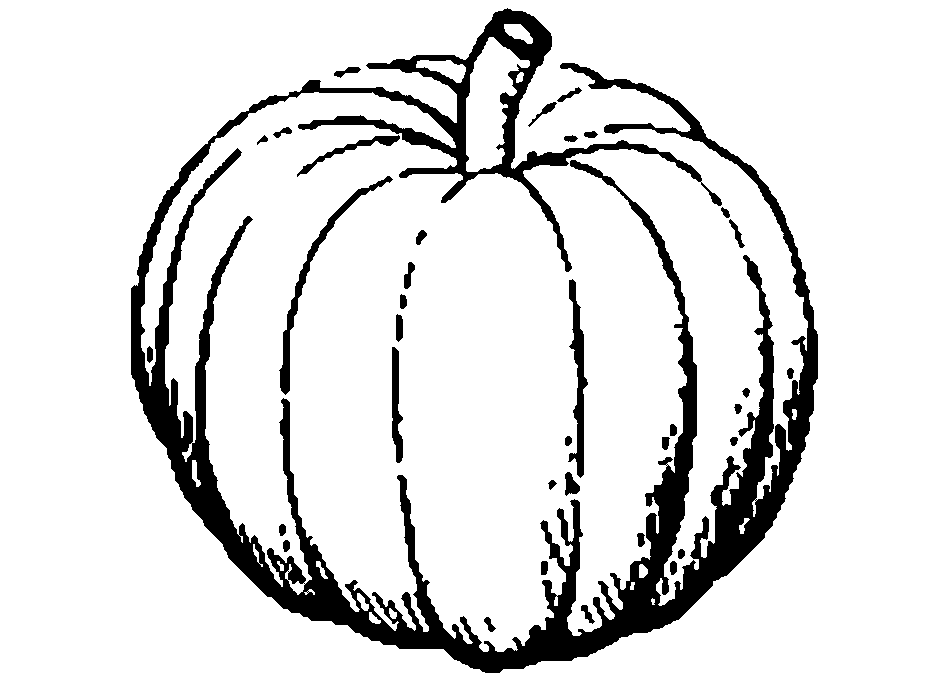 Pumpkin Seed Clipart