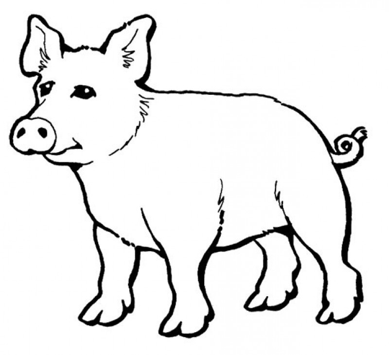 Sad Pig Coloring For Kids - Kids Colouring Pages