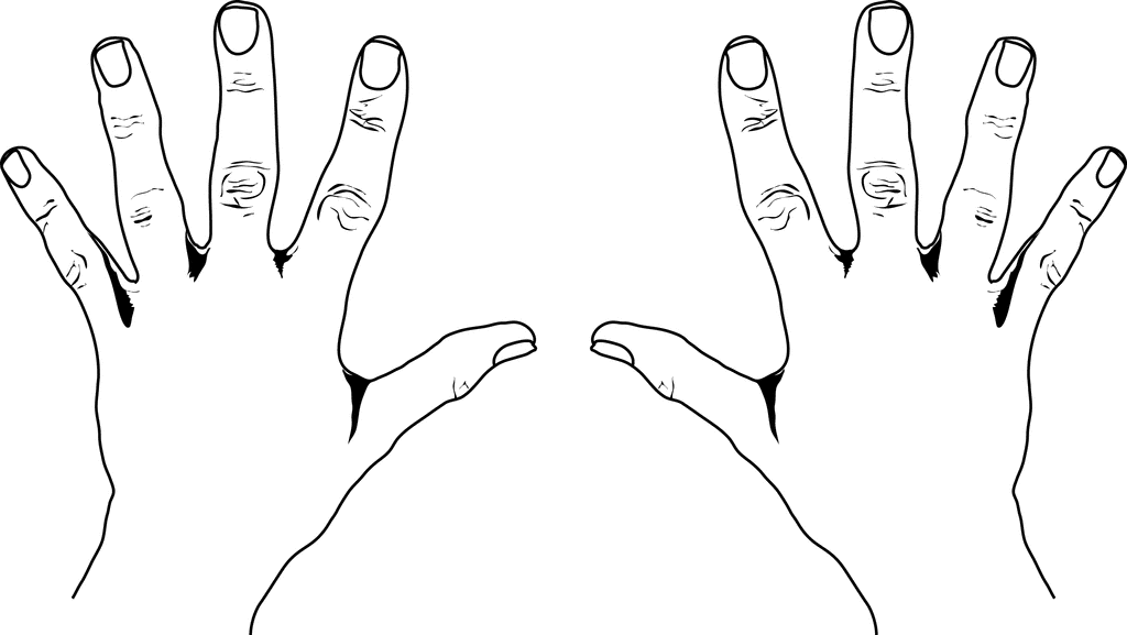 Pix For  Clipart Right Hand